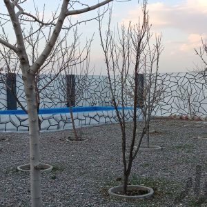 نقاشی‌‌طرح‌سنگ‌ دیوارباغ‌ نقاش‌رنگ‌ استخر‌‌ تبلیغات