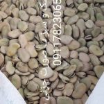 فروش ویژه باقلا سبزو خشک به صورت عمده و خرده
