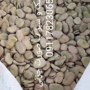 فروش ویژه باقلا سبزو خشک به صورت عمده و خرده