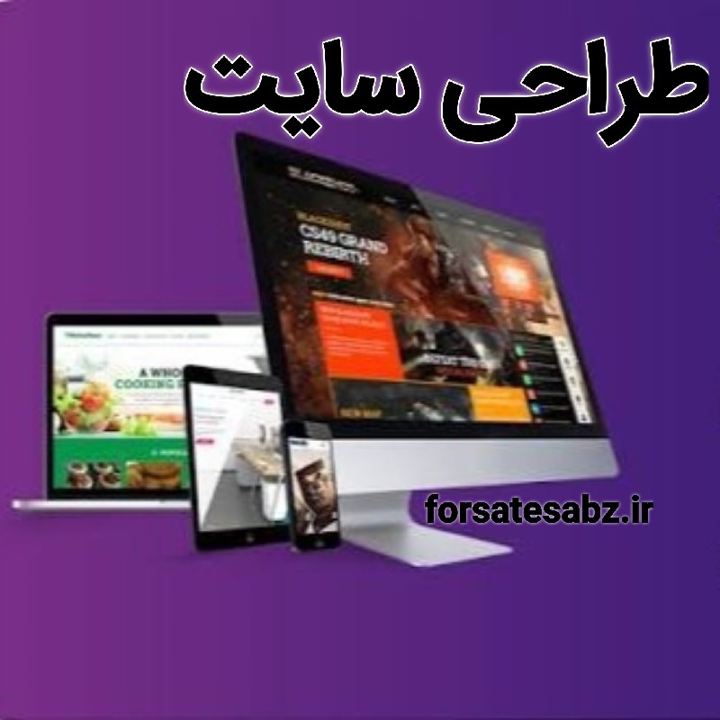 طراحی حرفه ای سایت
