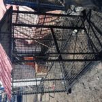 قفس.پانسیون سگ