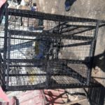 قفس.پانسیون سگ