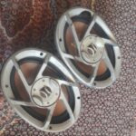 باند پایونیر