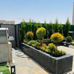 خدمات باغبانی هرسکاری گلکاری متخصص خاک گلدون درسراسر تهران