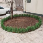 خدمات باغبانی هرسکاری گلکاری متخصص خاک گلدون درسراسر تهران