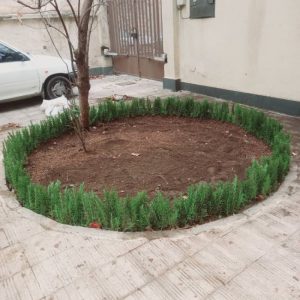 خدمات باغبانی هرسکاری گلکاری متخصص خاک گلدون درسراسر تهران