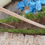 خدمات باغبانی هرسکاری گلکاری متخصص خاک گلدون درسراسر تهران