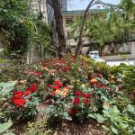 خدمات باغبانی هرسکاری گلکاری متخصص خاک گلدون درسراسر تهران