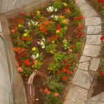 خدمات باغبانی هرسکاری گلکاری متخصص خاک گلدون درسراسر تهران