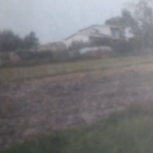 فروش زمین کشاورزی