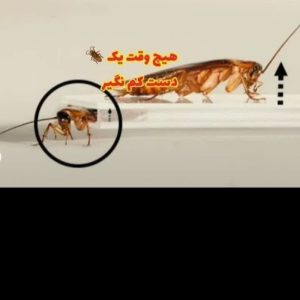 الو سمپاشی